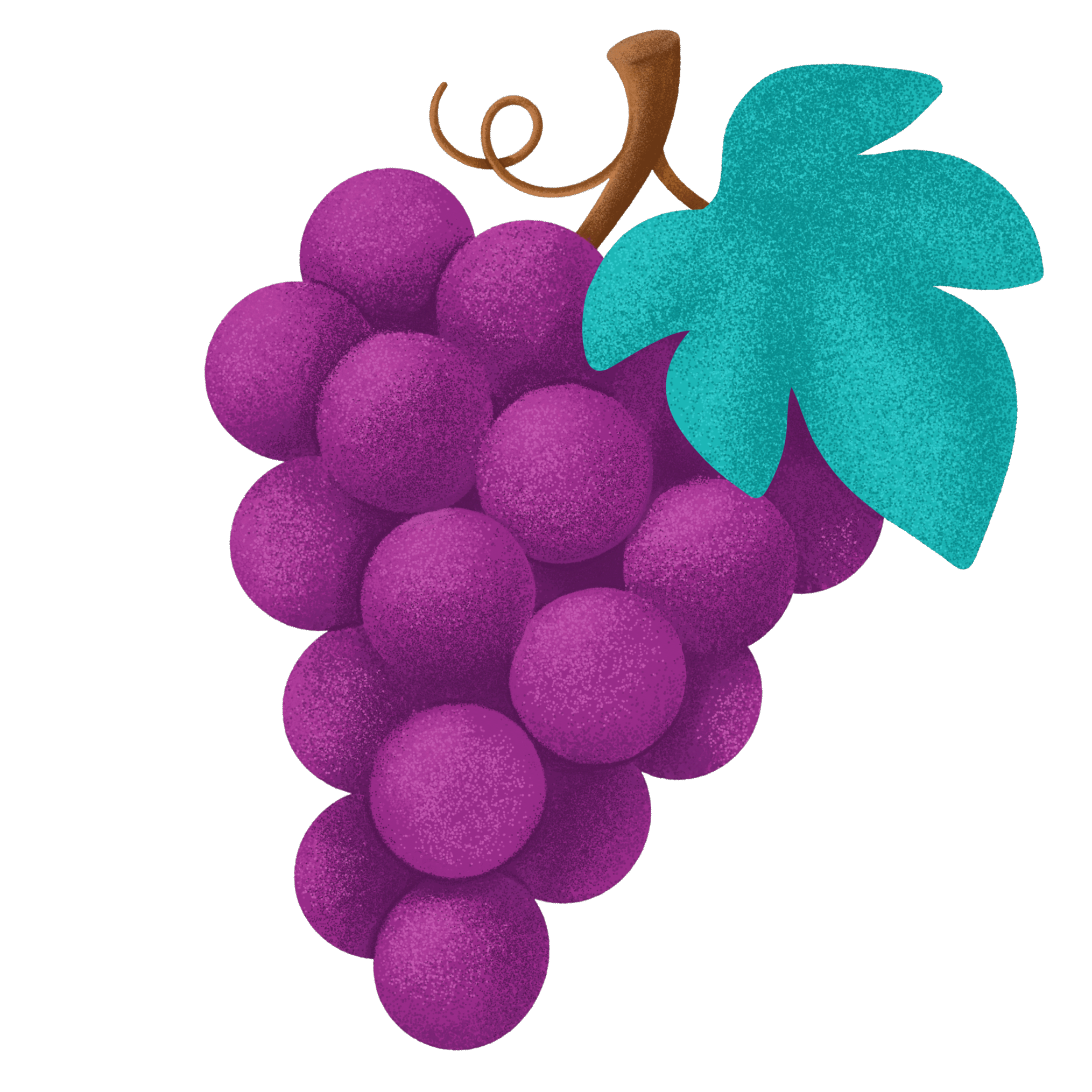 Illustration raisin