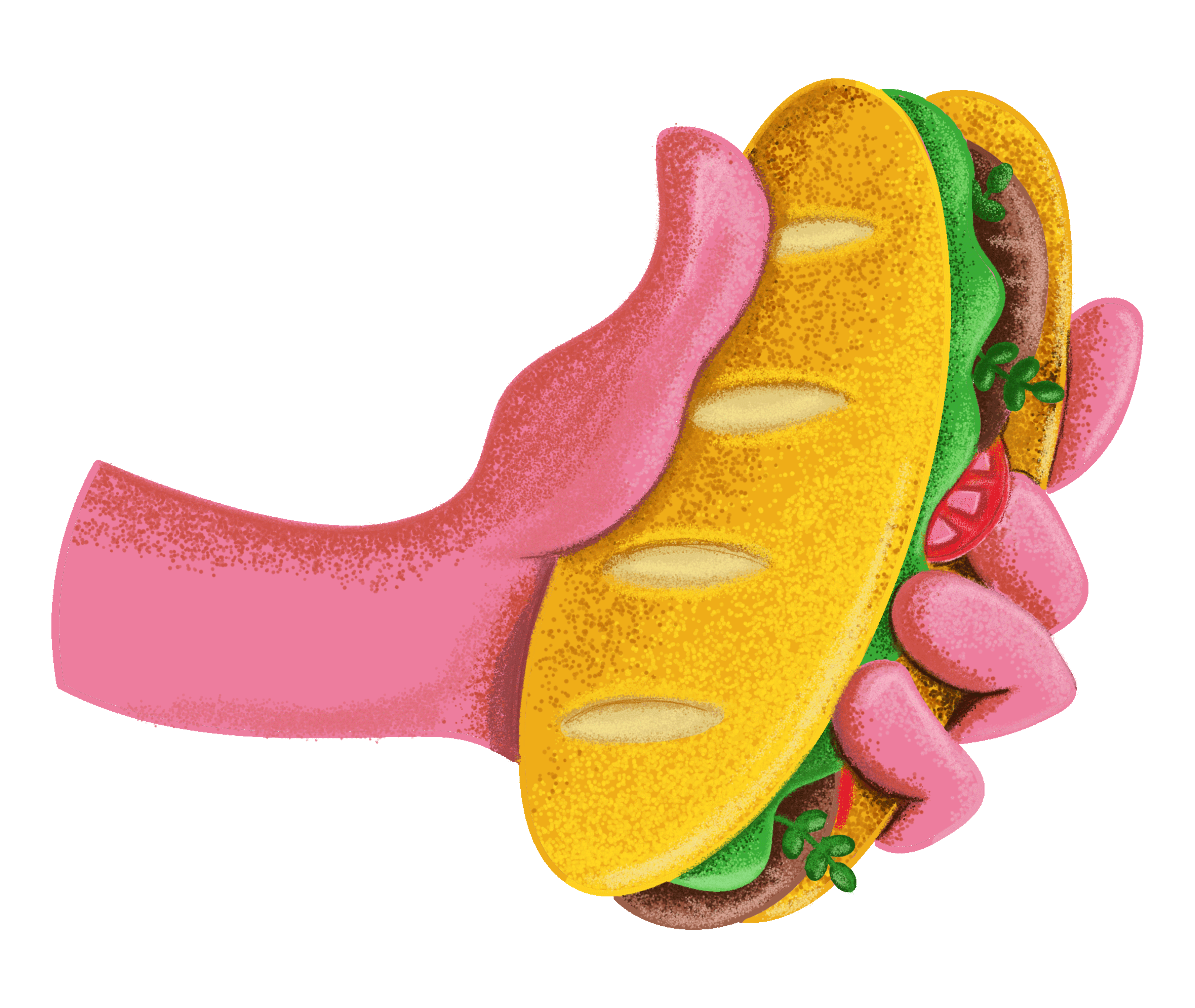 Illustration sandwich