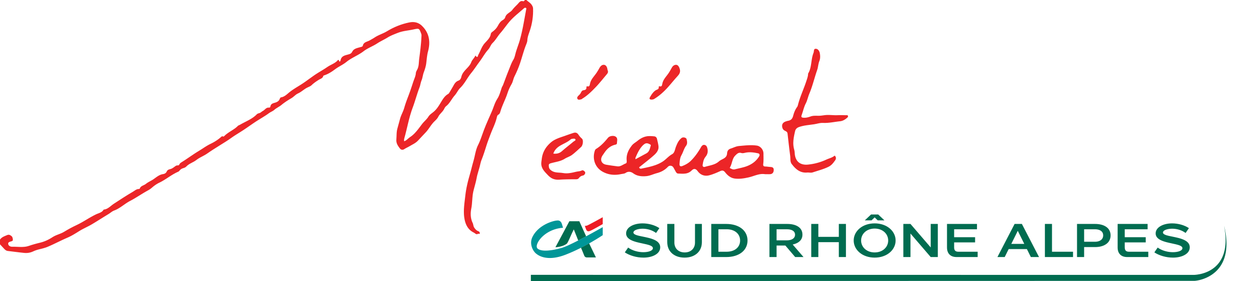Partenaire 6